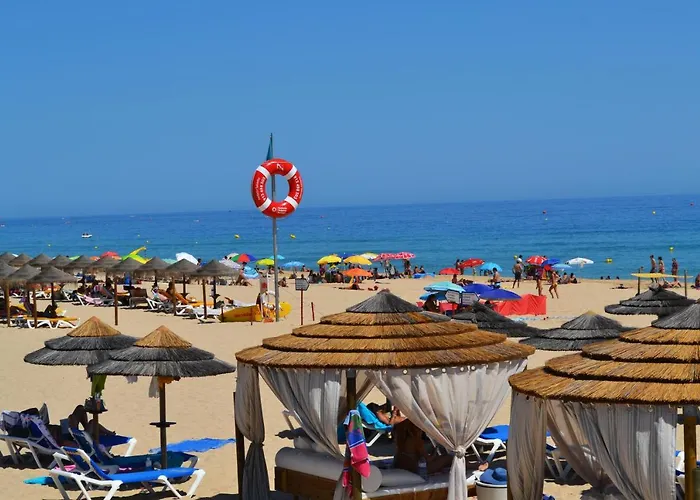 Sol Da Rocha *